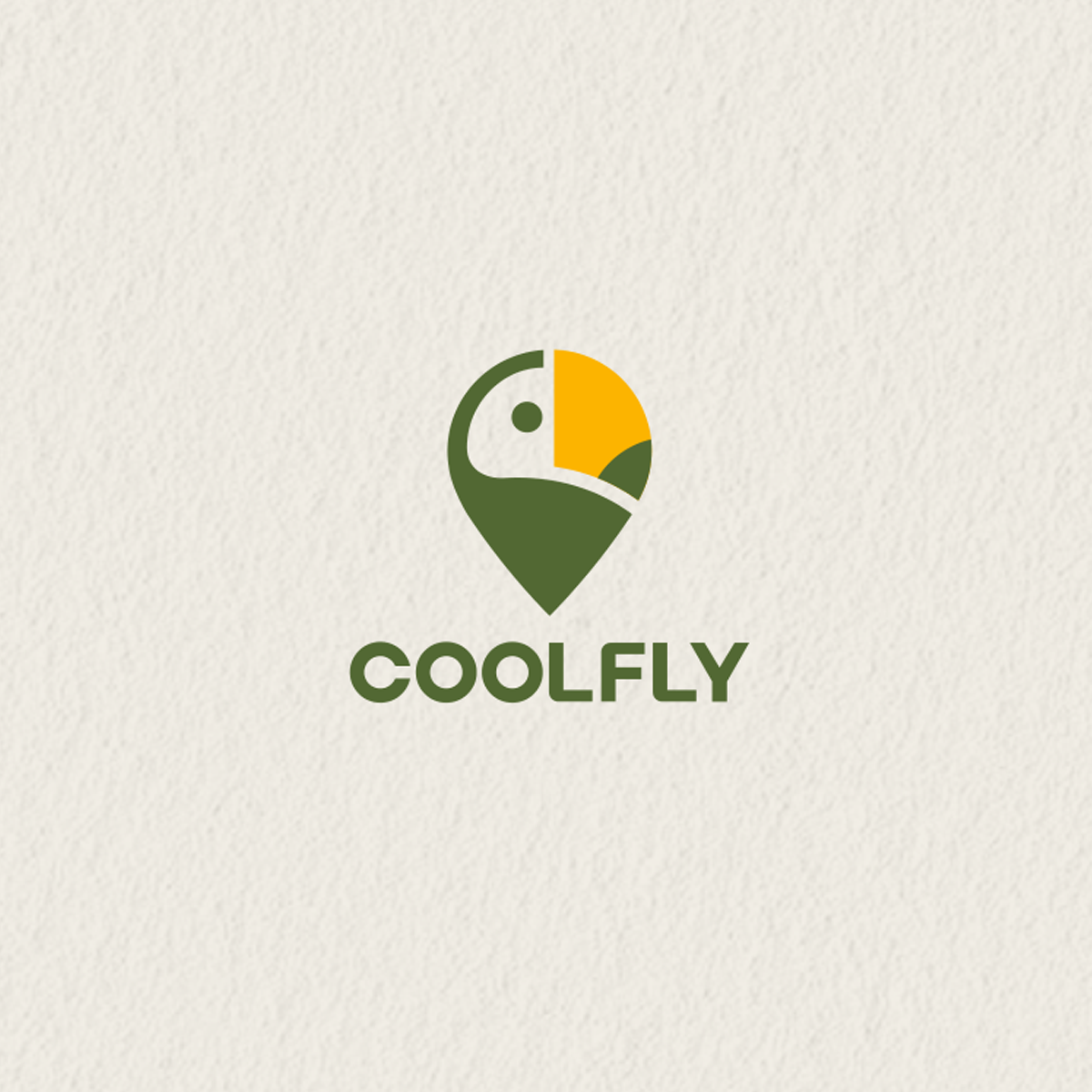 CoolFly case visual 1